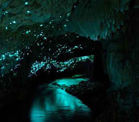 غار Waitomo